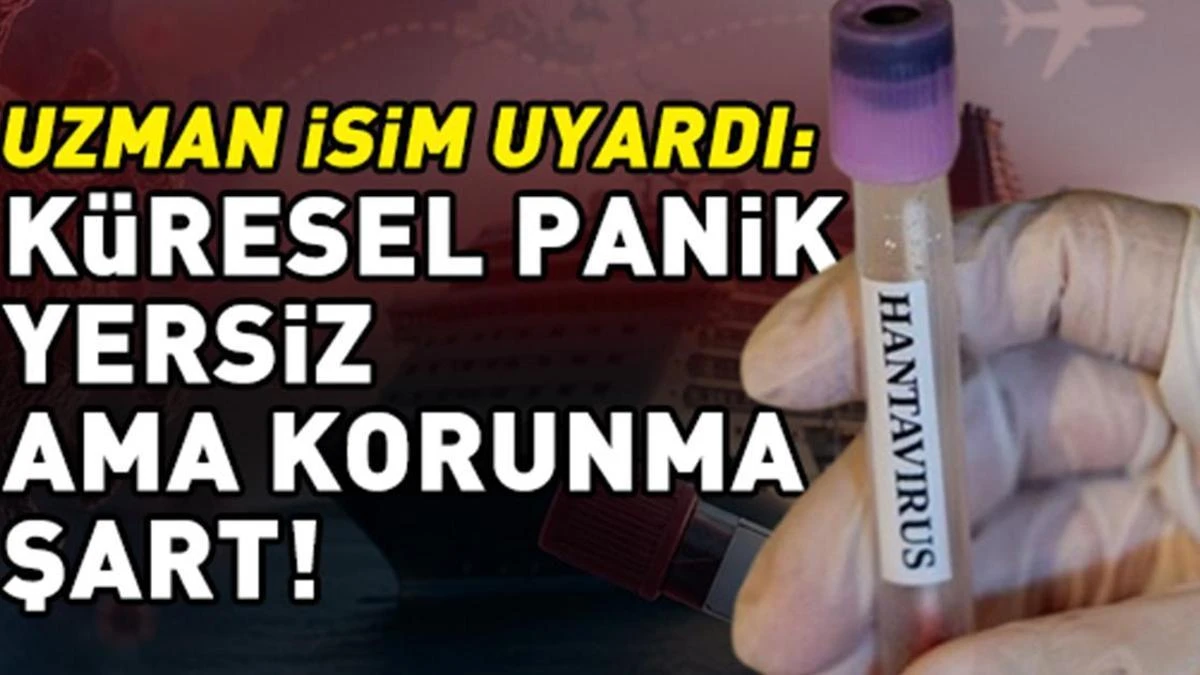 Uzman uyardı: MV Hondius'taki hantavirüs vakaları panik gerektirmez