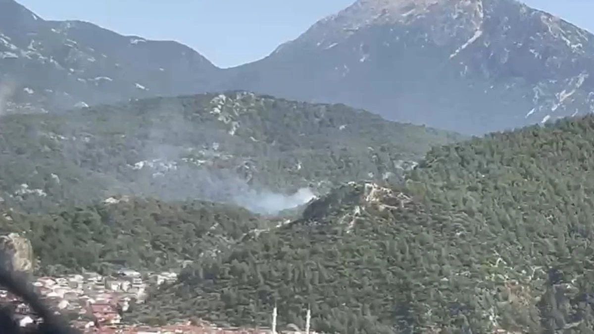 Fethiye Dikilitaş'ta orman yangını: Havadan ve karadan müdahale