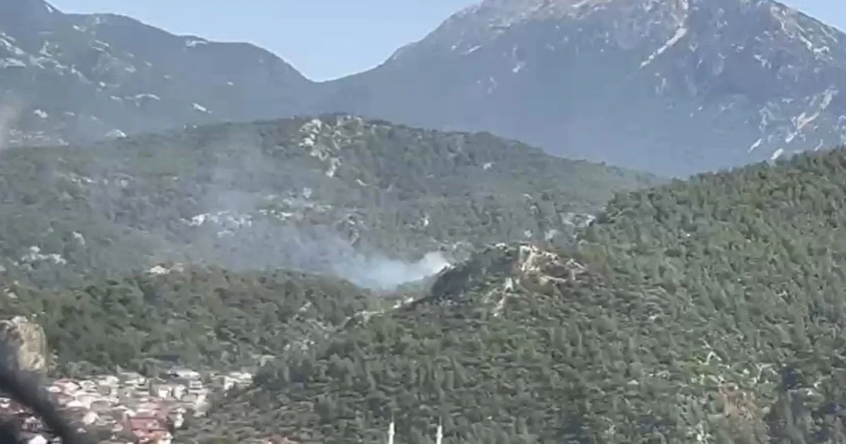 Fethiye Dikilitaş'ta orman yangını: Havadan ve karadan müdahale