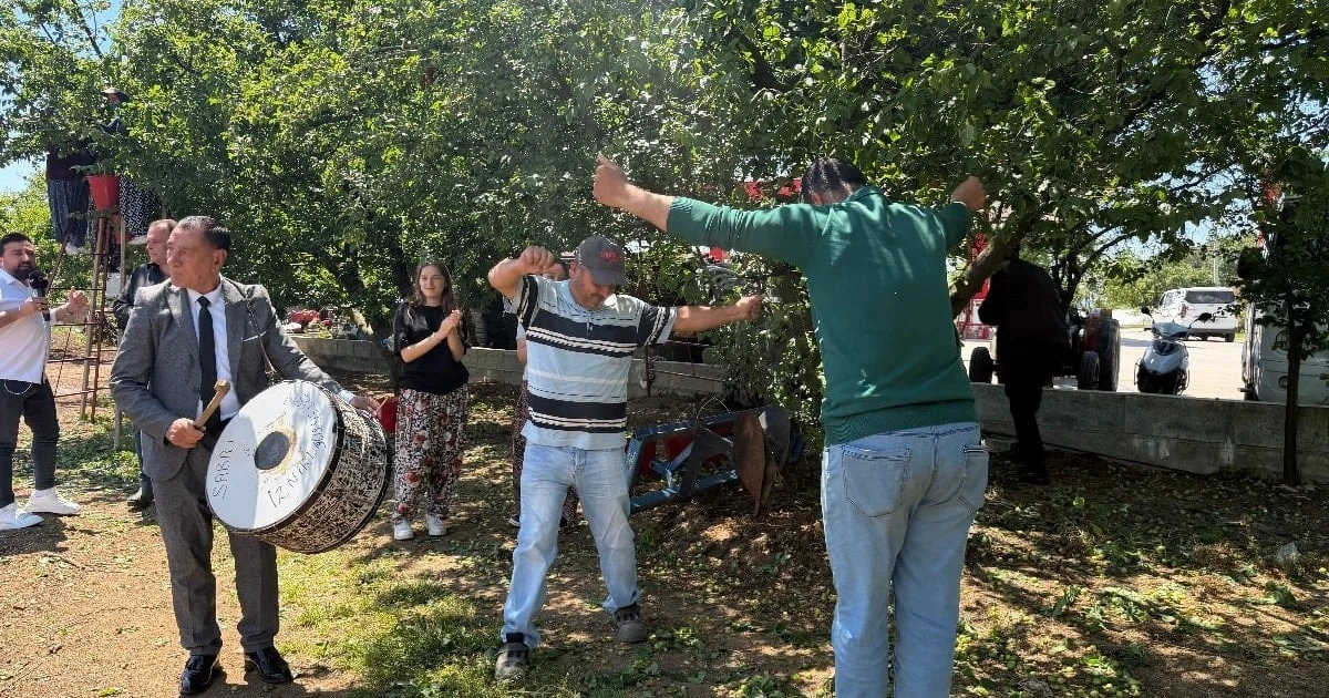 Bursa İznik'te erik rekoltesi dört kat arttı, hasat şenlik havasında