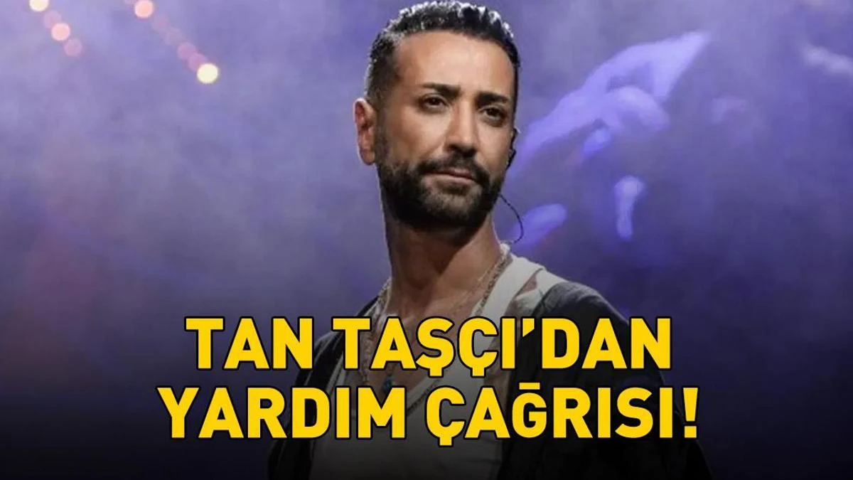 Tan Taşçı: Gümüşlük'te bahçeden kaçan köpeğimiz Masum kayboldu