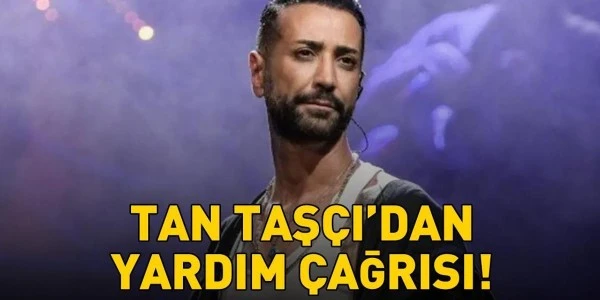 Tan Taşçı: Gümüşlük'te bahçeden kaçan köpeğimiz Masum kayboldu