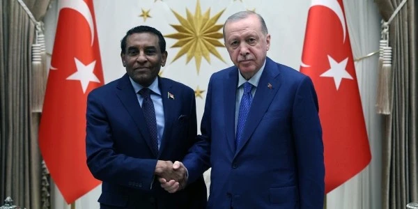 Cumhurbaşkanı Erdoğan, Sudan Başbakanı Kamil İdris'i kabul etti