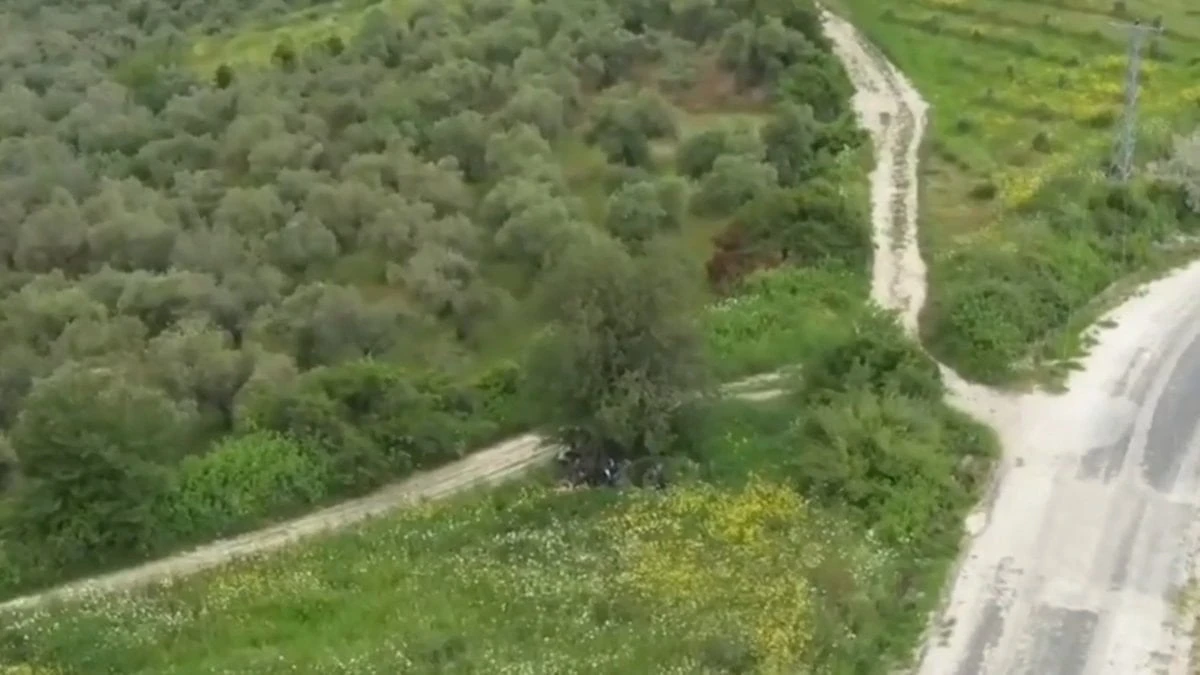 Hatay'da dron destekli operasyonda 42 düzensiz göçmen yakalandı