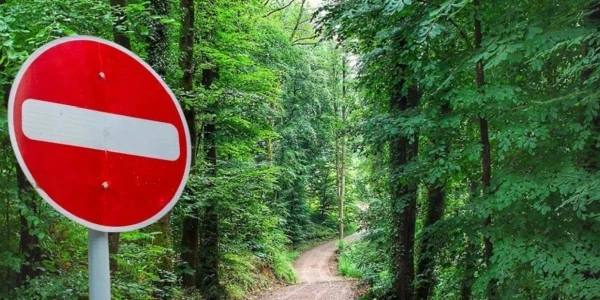 Ankara, Karabük ve Muğla'da ormanlara giriş yasağı 1 Haziran'dan