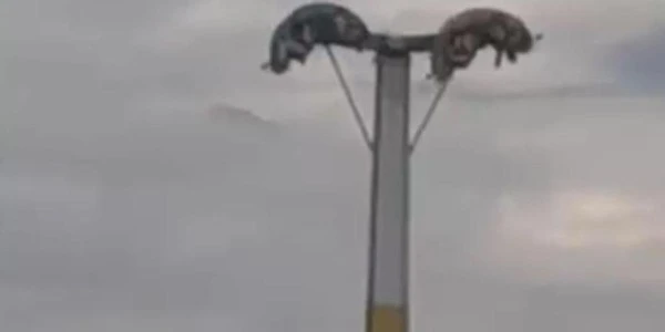 Bayram eğlencesi kabusa döndü! Metrelerce yüksekte asılı kaldılar