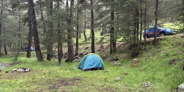 Bolu'da ormanlık alana yıldırım düştü: 3 kişi yaralandı