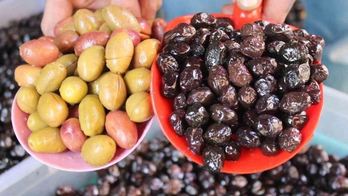 Şirince'de tek zeytin 50 TL: Tezgâhtaki fiyat şaşkınlık yarattı