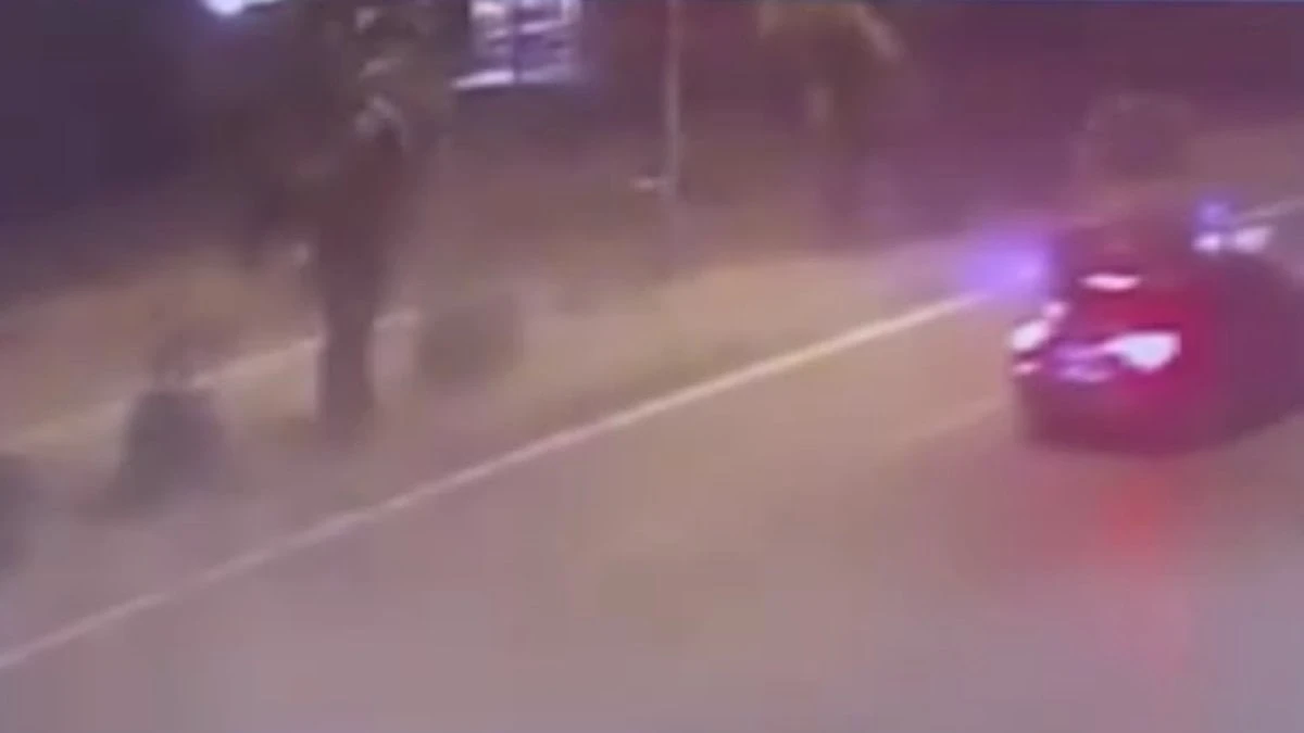 Muğla'da otomobil 112 motorize ekibine çarptı: 2 yaralı