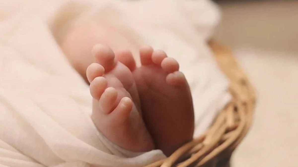 Doğum izni 24 haftaya çıkarıldı: Memur ve işçilere yeni düzenleme