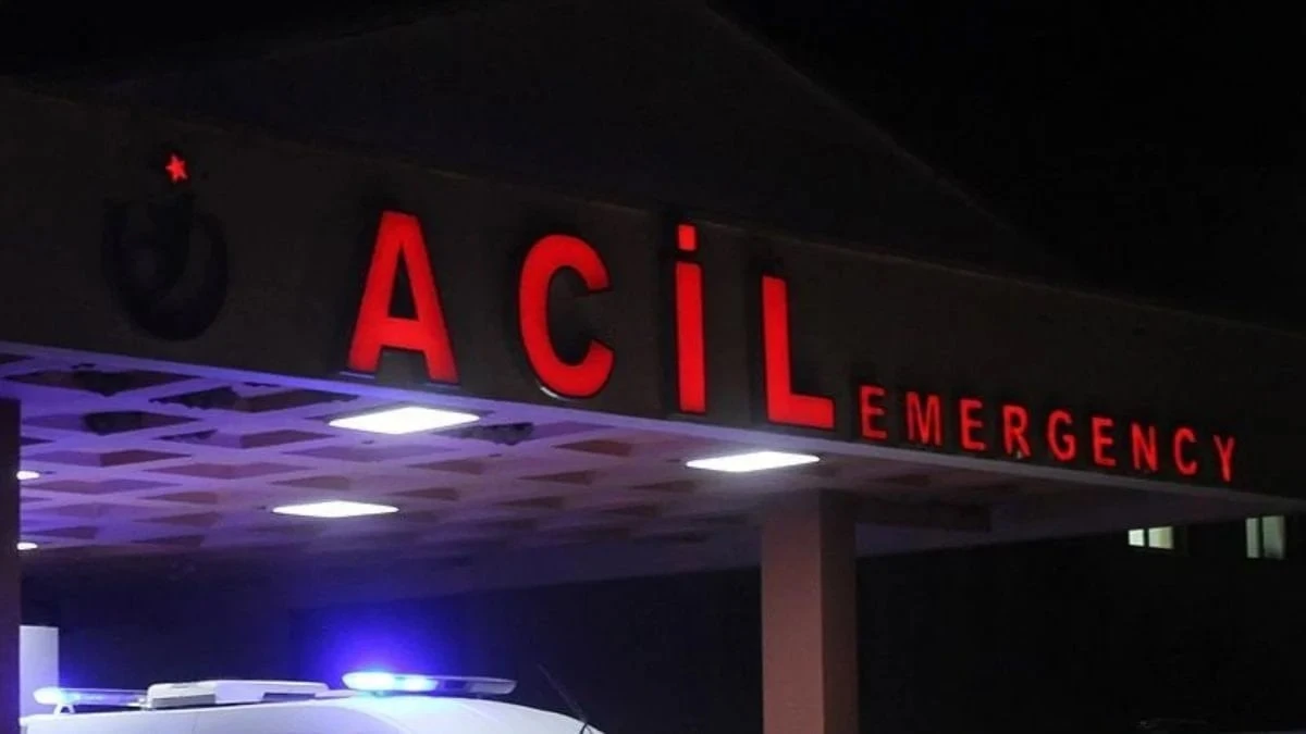 Şanlıurfa'da yıldırım isabet eden çoban yaşamını yitirdi