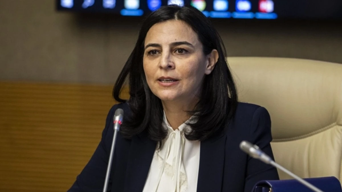 Pervin Tuba Durgut: Sokak hayvanı sorununu insan ihmali yarattı