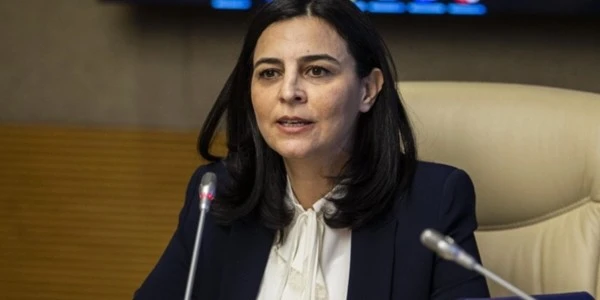 Pervin Tuba Durgut: Sokak hayvanı sorununu insan ihmali yarattı