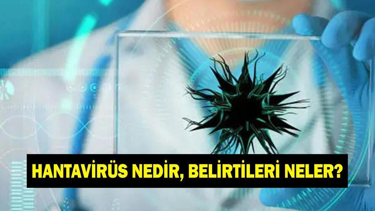 Arjantin'deki vakalar sonrası hantavirüs: Belirtiler ve korunma
