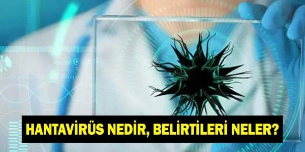 Arjantin'deki vakalar sonrası hantavirüs: Belirtiler ve korunma