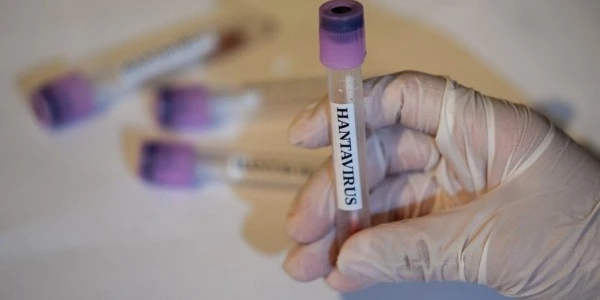 DSÖ: Hantavirüs için küresel risk düşük, durum izleniyor