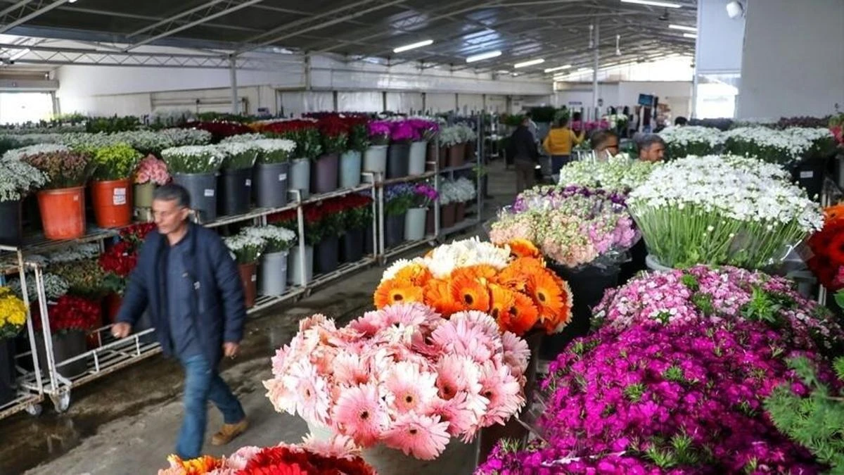 Anneler Günü öncesi İzmir’den Türkiye geneline 8 milyon dal çiçek