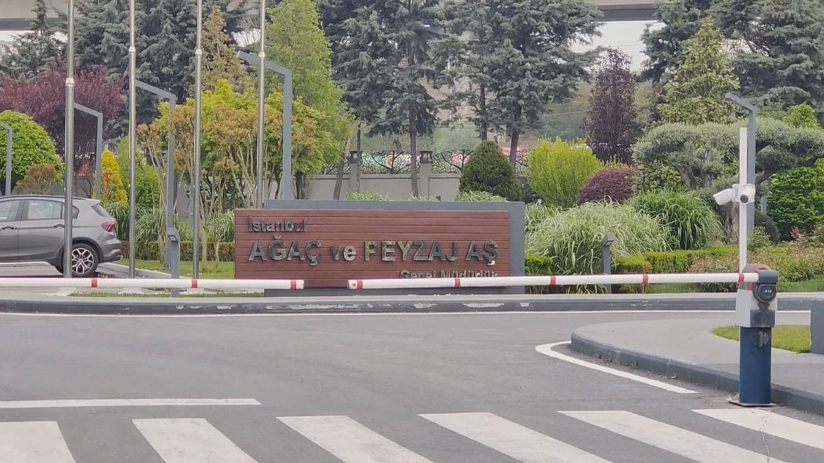 İBB'de yeni operasyon dalgası: Ağaç A.Ş. soruşturmasında 1 gözaltı