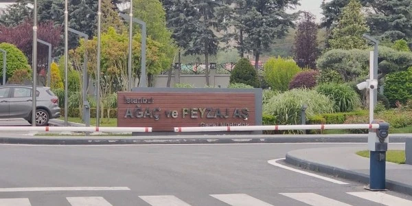 İBB'de yeni operasyon dalgası: Ağaç A.Ş. soruşturmasında 1 gözaltı