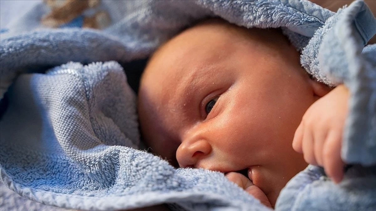 Kısırlıkta yeni dönem: Yapay zeka 'STAR' ile sperm buluyor