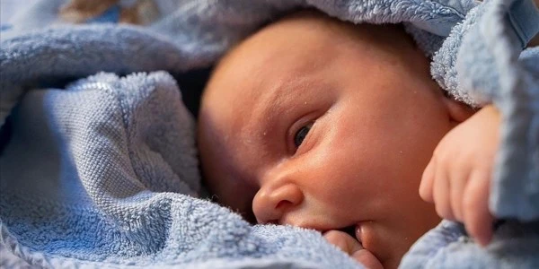 Kısırlıkta yeni dönem: Yapay zeka 'STAR' ile sperm buluyor
