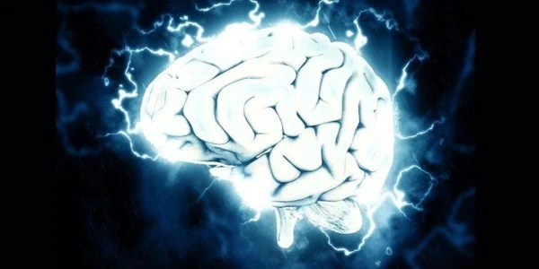 Dünyanın en yüksek IQ ortalamasına sahip ülkeleri: güncel etkileri