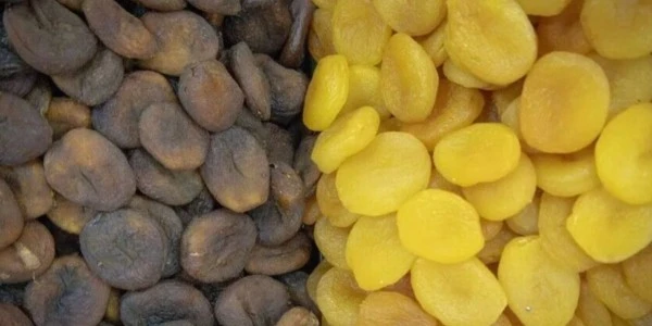 Kuru kayısı ihracatı ilk 6 ayda 115 milyon doları aştı