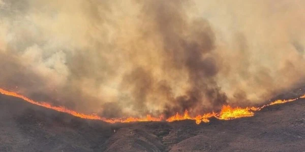 Yunanistan'da yangınlar: Üç bölgede söndürme çalışmaları