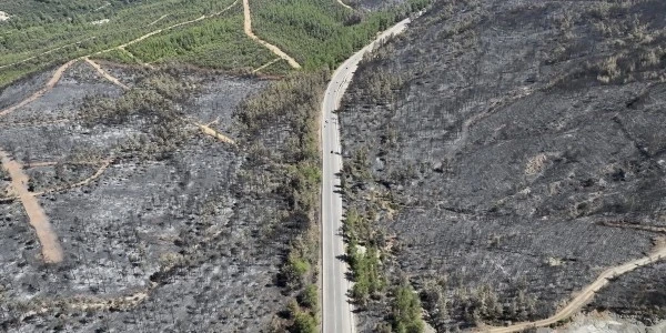 Fethiye'de yanan ormanlık alan havadan görüntülendi