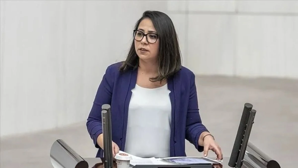 Sera Kadıgil hakkında 'Cumhurbaşkanına hakaret' ve 'tehdit' soruşturması