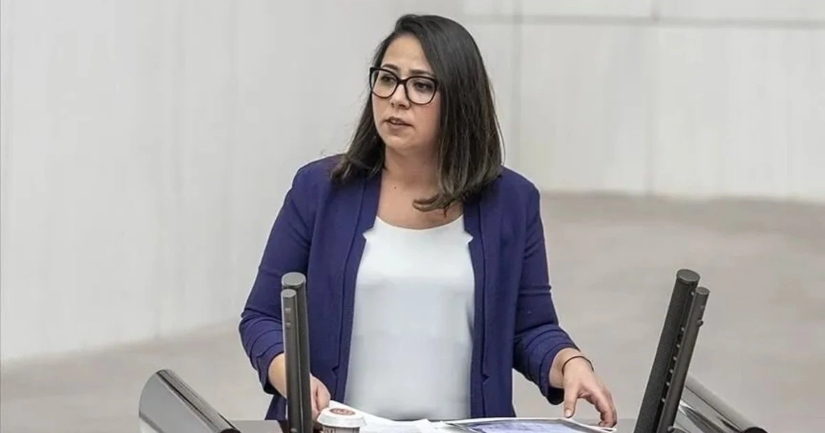 Sera Kadıgil hakkında 'Cumhurbaşkanına hakaret' ve 'tehdit' soruşturması