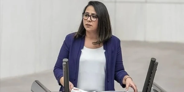 Sera Kadıgil hakkında 'Cumhurbaşkanına hakaret' ve 'tehdit' soruşturması