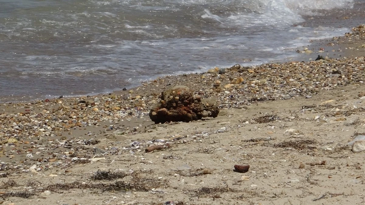 Çanakkale Kepez sahilinde plajda mühimmat bulundu, bölge güvenli