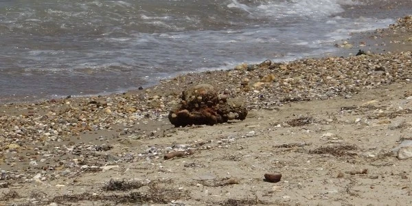 Çanakkale Kepez sahilinde plajda mühimmat bulundu, bölge güvenli