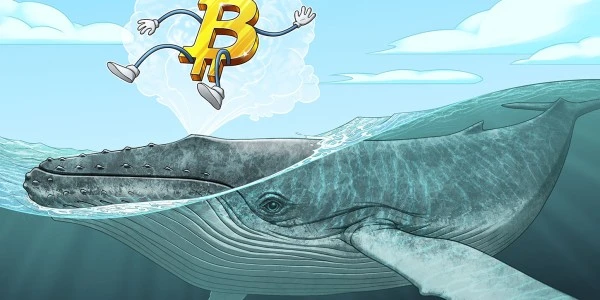 Bitcoin, Ethereum ve XRP Balinaları Artıyor: Dip Yaklaşıyor mu?