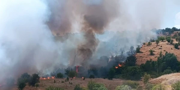 Pütürge'de orman ve örtü yangını kontrol altına alındı
