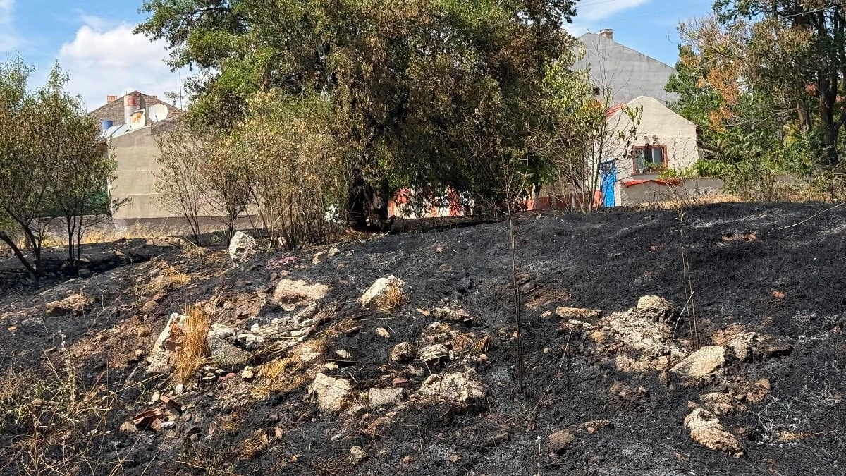 Eskişehir'de çocukların attığı torpil boş arazide yangın çıkardı