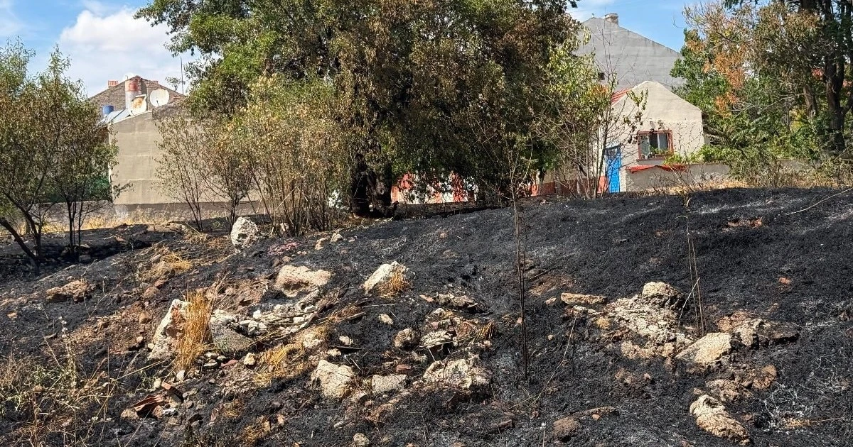 Eskişehir'de çocukların attığı torpil boş arazide yangın çıkardı
