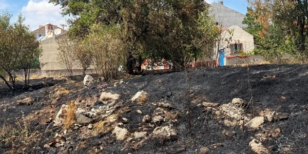 Eskişehir'de çocukların attığı torpil boş arazide yangın çıkardı