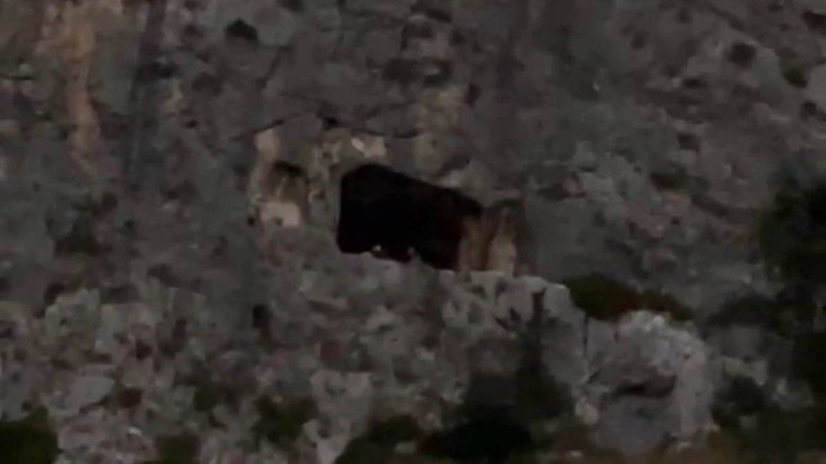 Antakya'da dağdaki mağarada mahsur kalan şahıs kurtarıldı