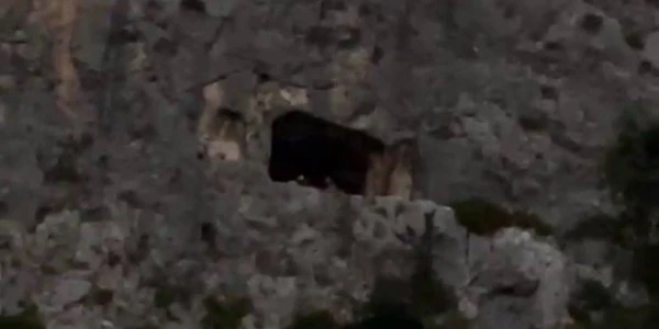 Antakya'da dağdaki mağarada mahsur kalan şahıs kurtarıldı