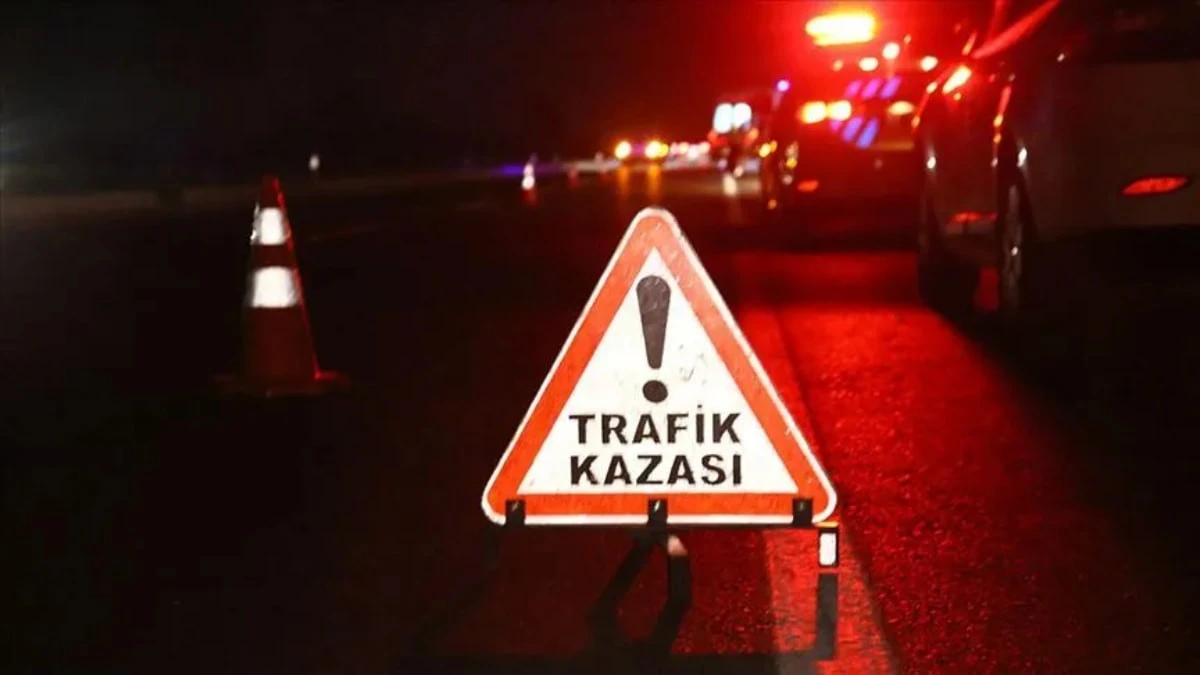 Şanlıurfa'da şarampole devrilen otomobilin sürücüsü hayatını kaybetti