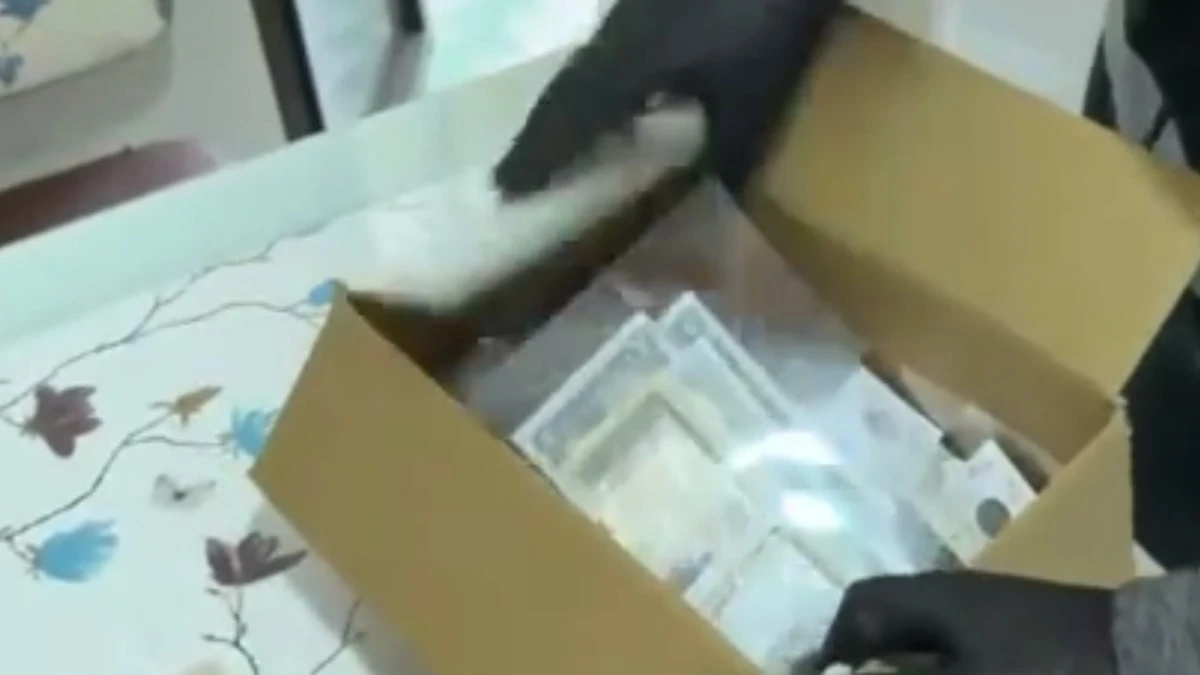 Tekirdağ'da tarihi eser operasyonu: 2 bin 314 sikke ele geçirildi