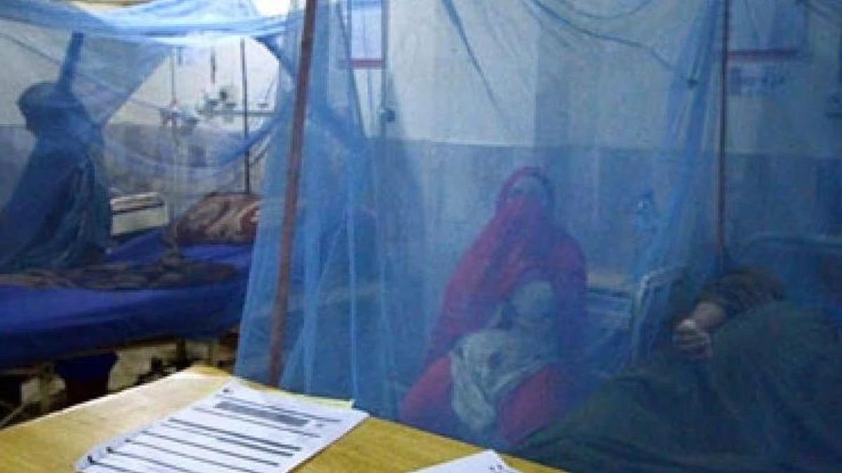 Bangladeş'te dang humması: 101 bini aşkın vaka, 307 ölüm