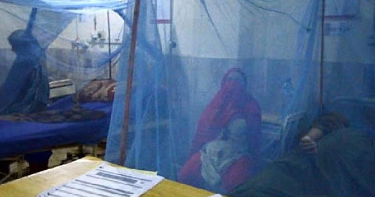 Bangladeş'te dang humması: 101 bini aşkın vaka, 307 ölüm