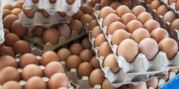 Türkiye'nin yumurta ihracatı 9 ayda yüzde 54 artış gösterdi
